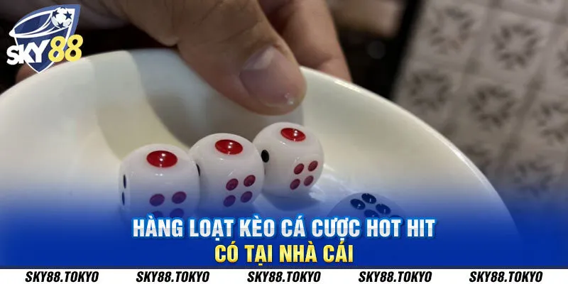 Hàng loạt kèo cá cược hot hit có tại nhà cái