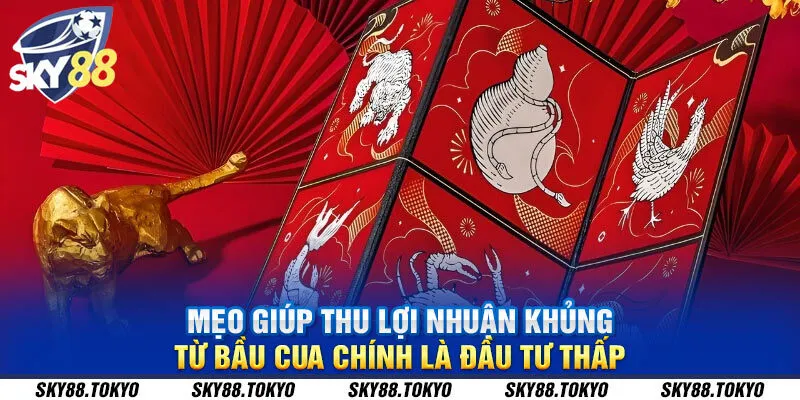 Mẹo giúp thu lợi nhuận khủng từ bầu cua chính là đầu tư thấp