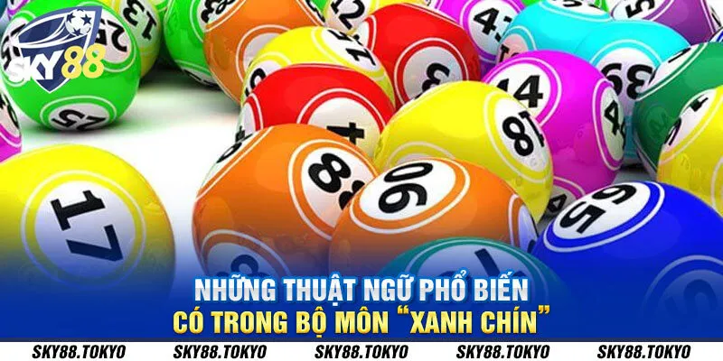 Những thuật ngữ phổ biến có trong bộ môn “xanh chín”