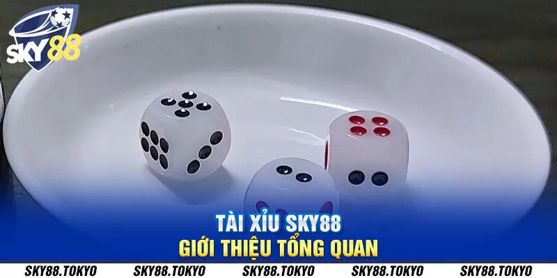 Tài xỉu Sky88 - giới thiệu tổng quan 