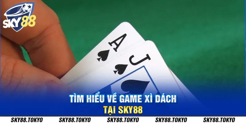 Tìm hiểu về game xì dách tại Sky88