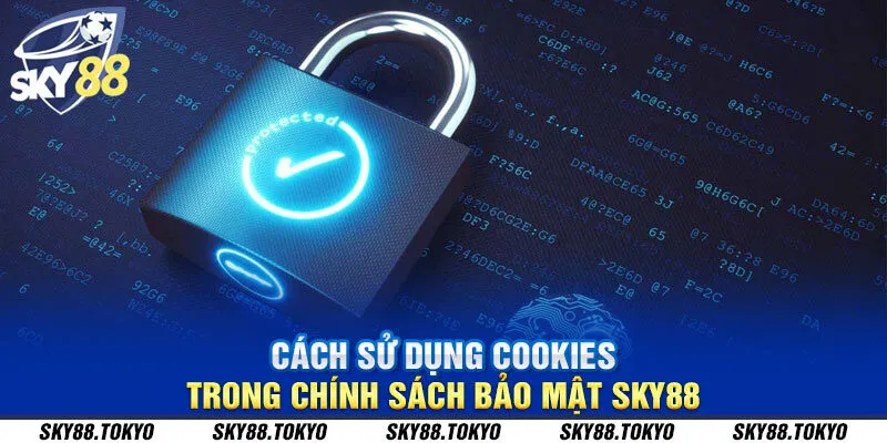 Cách sử dụng Cookies trong chính sách bảo mật Sky88